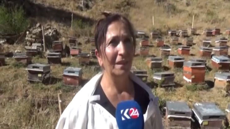 Jin ên mêşvan li bakûr